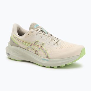 Vyriški bėgimo bateliai ASICS GT-1000 13 TR nature bathing/lime green