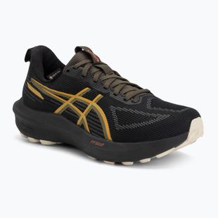 Vyriški bėgimo bateliai ASICS GT-1000 14 GTX black/sandstorm
