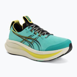 Vyriški bėgimo bateliai ASICS Gel-Nimbus 28 TR aurora green/black