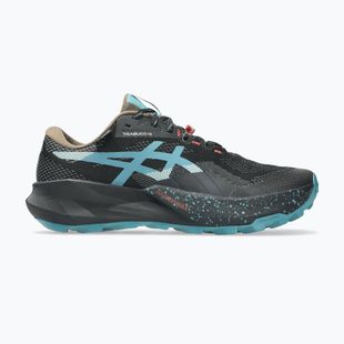 Vyriški bėgimo bateliai ASICS Trabuco 14 GTX black/misty pine