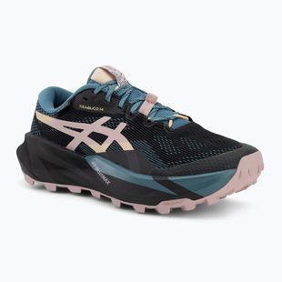 Moteriški bėgimo bateliai ASICS Trabuco 14 GTX black/morganite