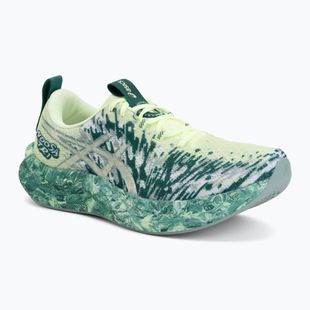 Vyriški bėgimo batai ASICS Noosa Tri 16 illuminate yellow/jewel green