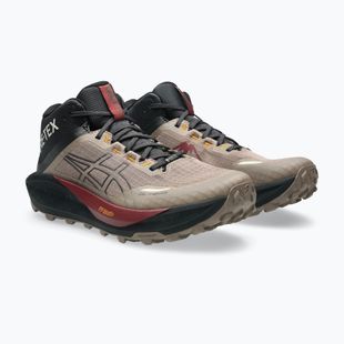 Vyriški bėgimo batai Asics Gel-Trabuco Mt Gtx taupe grey/graphite grey