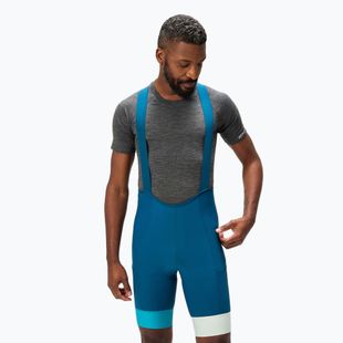 Vyriški dviračių šortai Endura Loop Bibshort barra blue