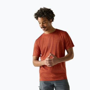 Vyriški žygio marškinėliai REGATTA Fingal Edition rusty orange