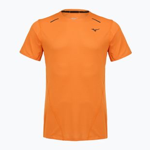 Vyriški bėgimo marškinėliai Mizuno Tech Light DAF tangelo