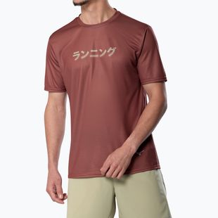 Vyriški bėgimo marškinėliai Mizuno Core Graphic Tee copper brown
