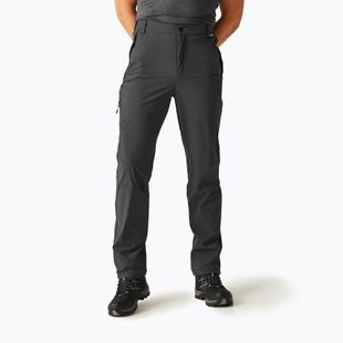 Vyriškos trekingo kelnės REGATTA Travel Light Packaway ash