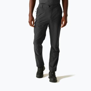 Vyriškos trekingo kelnės REGATTA Highton II ash