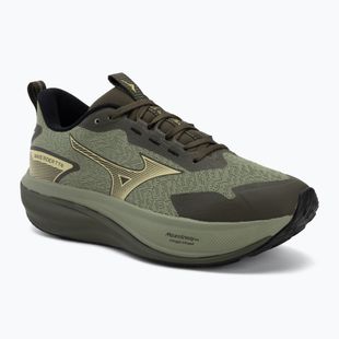 Vyriški bėgimo batai Mizuno Wave Rider Tt 4 sea spray/beechnut/forest night