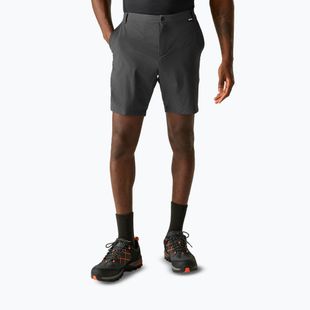 Vyriški trekingo šortai REGATTA Anti Insect Travel Light ash