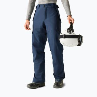Vyriškos slidinėjimo kelnės Dare 2b Baseplate Insulated Pant navy