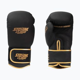 Bokso pirštinės StormCloud Boxing Pro black/gold