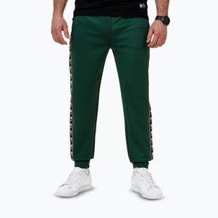 Vyriškos kelnės Pitbull Track Pants Powers bottle green