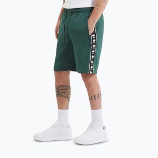 Vyriški šortai Pitbull Track Shorts Powers bottle green