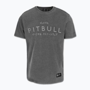 Vyriški marškinėliai Pitbull Mt. Fuji washed grey