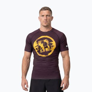 Vyriški marškinėliai Pitbull Rashguard Logo Palms brown