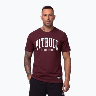 Vyriški marškinėliai Pitbull Norton burgundy