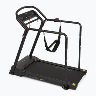 Elektrinis bėgimo takelis XTREXO R300 black