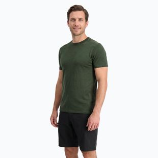 Vyriški termoaktyvūs marškinėliai WOOLCANO Merino 100% TEE0546 žalia