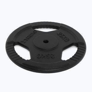 Ketaus apkrova XTREXO TRX-ICP025 25 kg chrom