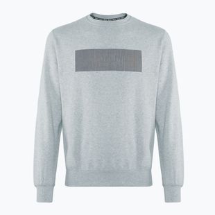 Vyriškas džemperis PROSTO Crewneck Cameleo gray