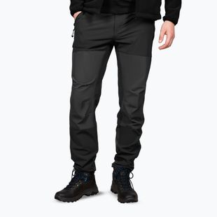 Vyriškos žygių kelnės Alpinus Dean black