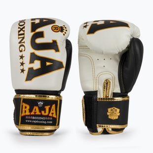 Bokso pirštinės RAJA BOXING Origin Standard Genuine Leather white