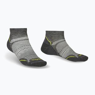 Vyriškos žygio kojinės Bridgedale Hike Ultralight Coolmax® Performance Low graphite