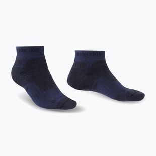 Vyriškos trekingo kojinės Bridgedale Hike Midweight Performance Ankle navy