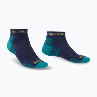 Vyriškos kojinės Bridgedale Hike Lightweight Performance Ankle petrol/navy