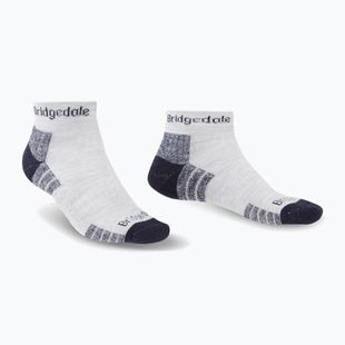 Vyriškos kojinės Bridgedale Hike Lightweight Performance Ankle silver/navy