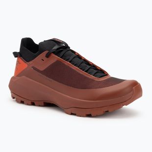 Arcteryx Vertex Alpine dynasty / sequoia artėjimo prie jūros batai vyrams