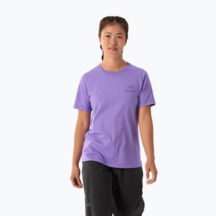 Moteriški marškinėliai Arcteryx Kragg Sl Cotton Emblem Crew aster