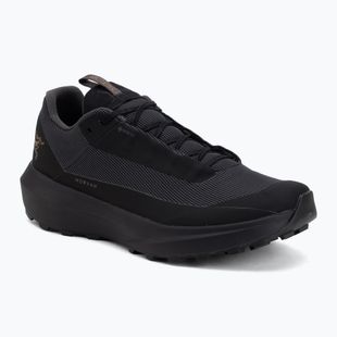 Vyriški bėgimo batai Arcteryx Norvan LD 4 GTX black/black