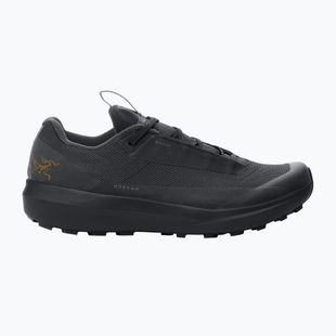 Vyriški bėgimo batai Arc'teryx Norvan LD 4 GTX black/black