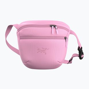 Maža rankinė Arcteryx Mantis 2 2,5 and pineberry