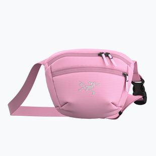 Maišelis Arcteryx Mantis 1 1,5 l