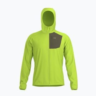 Vyriškas flisinis džemperis Arc'Teryx Delta Hoody mantis/tatsu