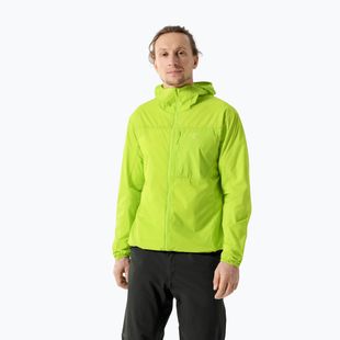 Vėjo nepraleidžianti vyriška striukė  Arcteryx Squamish Hoody mantis