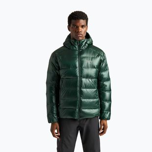 Vyriška pašiltinta striukė Arcteryx Cerium SV Hoody dark jade
