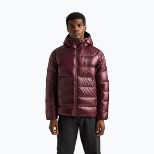 Vyriška pašiltinta striukė Arcteryx Cerium SV Hoody ultima