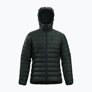 Vyriška pašiltinta striukė Arcteryx Cerium Hoody dark jade
