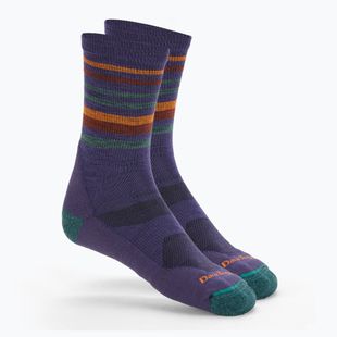 Vyriškos žygio kojinės Darn Tough Fastpack Micro Crew blackberry