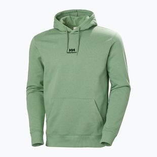 Vyriškas džemperis Helly Hansen Yu Hoodie 2.0 jade 2.0