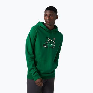 Vyriškas džemperis Helly Hansen F2F Organic Cotton Hoodie malachite