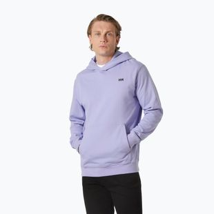 Vyriškas džemperis Helly Hansen Core Graphic Sweat Hoodie bright lavender
