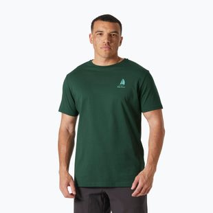 Vyriški marškinėliai Helly Hansen Shoreline 3.0 jungle green