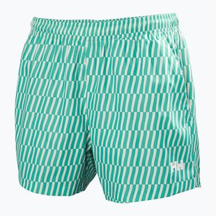 Vyriški buriavimo šortai Helly Hansen Newport Trunk 4.5" dark mint offset stripe ao