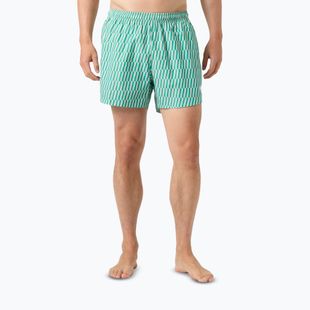 Vyriški buriavimo šortai Helly Hansen Newport Trunk 4.5" dark mint offset stripe ao